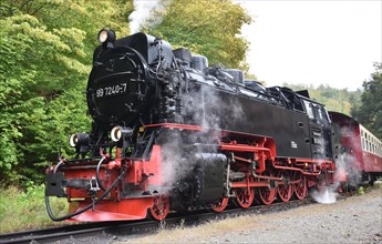 Steam locomotive of the Harz Narrow Gauge Railway, Brocken Railway in the Selke Valley,