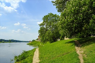 River landscape with Elbe cycle path and Pillnitz Castle on the Elbe in Pillnitz, Dresden, Saxony,