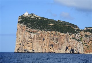 Cliff Capo Caccia, Capo Caccia nature park, lighthouse, Alghero, Sassari Province, Sardinia, Italy,
