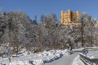 Hohenschwangau Castle, Schwangau near Fuessen, Allgaeu, Bavaria, Germany, Fuessen, Bavaria,