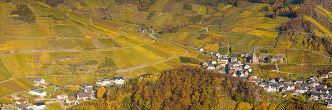 Vineyards in autumn, Mayschoss with parish church, red wine growing region Ahrtal, red wine of the