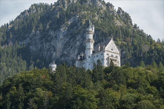 Neuschwanstein Castle, Hohenschwangau, Allgaeu Alps, Allgaeu, Bavaria, Germany, Europe