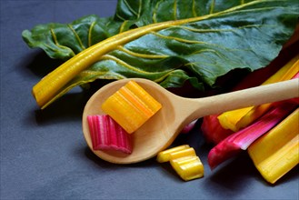 Red and yellow chard, wooden spoon and chopped stems, Beta vulgaris