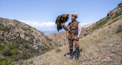 Traditional Kyrgyz eagle hunter with eagle in the mountains, hunting, near Bokonbayevo, Issyk Kul