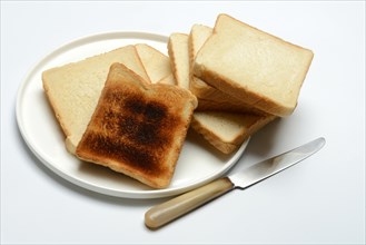 Toasted slice of bread, toast