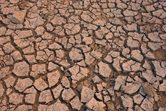 Cracked brown soil during a drought showing signs of aridness and environmental issues
