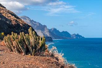 The cliffs from the Barranco de Guayedra viewpoint. Gran Canaria. Spain
