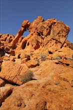 Elephant Rock, Valley of Fire State Park, Nevada, United States, USA, Valley of Fire, Nevada, USA,