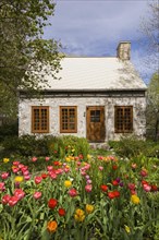 Old circa 1750 Canadiana style fieldstone house facade with brown stained wooden windows, door and