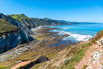 View of the marine vegetation in Algorri cove on the coast in the flysch of Zumaia without people,