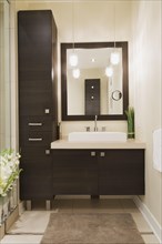 Contemporary brown laminated wood vanity with mirror in bathroom inside a renovated ground floor