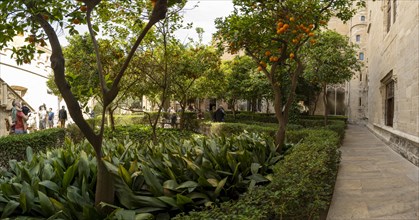 Inner courtyard with orange trees, Lonja de la Seda Palace, Silk Exchange, UNESCO World Heritage