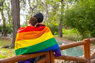 Rear view of gay couple wrapping in lgbt flag leaning on a rail a park