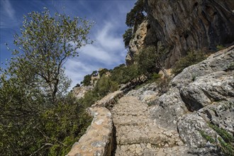 Cobbled path to the castle of Alaro, Alaro, Mallorca, Balearic Islands, Spain, Europe