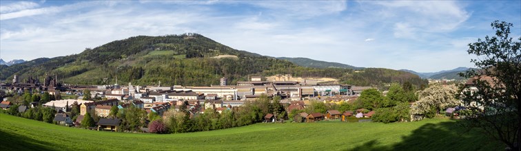 Cows grazing in front of the Donawitz steelworks of voestalpine AG, panoramic view, Donawitz