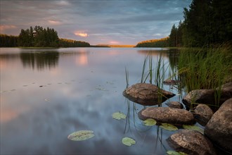 Lake near Hartola, reeds, forest, evening mood, Finland, Europe