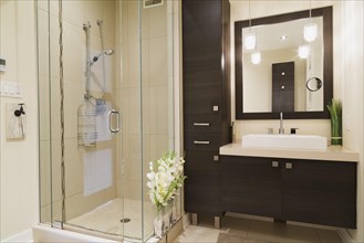 Contemporary brown laminated wood vanity with mirror and clear glass shower stall in bathroom