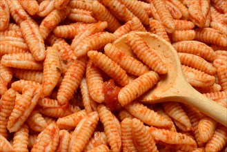 Malloreddus, Sardinian gnocchetti with tomato sauce, traditional type of pasta from Sardinia,