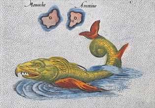 Sea monster, detail from: Sri Lanka as the mythical island of Taprobana, hand-coloured copperplate