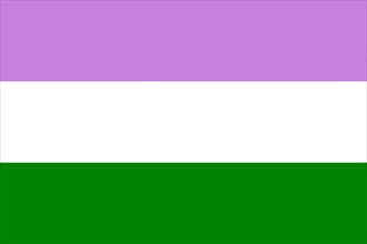 Illustration of the Genderqueer Pride Flag. Movement LGBT. Symbol of sexual minorities