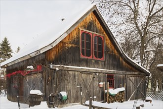 Old wooden rustic barn with red trimmed windows and Christmas decorations in winter, Quebec,