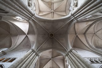 13th century central vault, Notre Dame de l'Assomption Cathedral, Lucon, Vendee, France, Europe