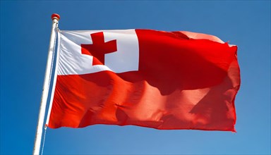 The flag of Tonga, fluttering in the wind, isolated, against the blue sky
