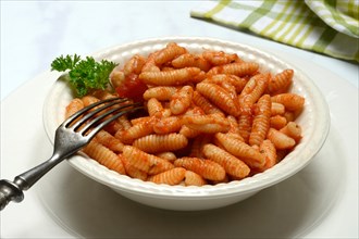 Malloreddus, Sardinian gnocchetti with tomato sauce in a plate, traditional pasta variety from