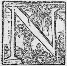 Initial or an initial N, decorative initial letter, woodcut, Mark Catesby, Natural History of