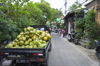 Street scene, Udud, District Gianyar, Bali, Indonesia, Asia