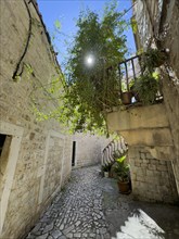 Winding alley with cobblestones and plants in the sunlight, Trogir, Dalmatia, Croatia, Europe