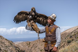 Traditional Kyrgyz eagle hunter with eagle in the mountains, hunting, eagle spreads its wings, near