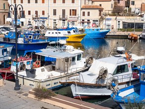 Colourful boats in the harbour, Maddalena, Isola La Maddalena, Sardinia, Italy, Europe