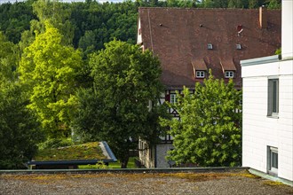 Partial view of Muensingen Town Hall, Swabian Alb, Baden-Wuerttemberg, Germany, Europe