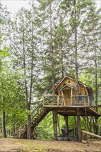 Children's playground and fancy tree house with half log stairs in residential backyard in spring,