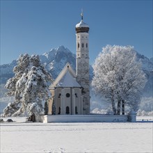 Pilgrimage church of St Coloman near Schwangau, Allgaeu, Swabia, Bavaria, Germany, Schwangau,
