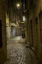 Night scene of a narrow alley with cobblestone floor and illuminated signs on the buildings,