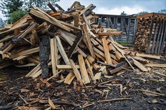 A pile of logs, freshly split firewood