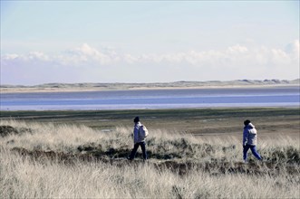 Sylt, Schleswig-Holstein, People walking through grassy landscape with view of calm water and wide
