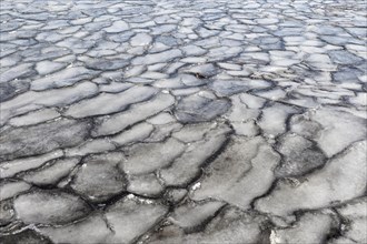 Winter, ice pattern formation, Chateauguay River, Province of Quebec, Canada, North America