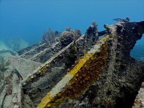 Wreck of the Benwood. Dive site John Pennekamp Coral Reef State Park, Key Largo, Florida Keys,