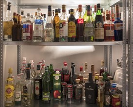 Different types of alcohol on a shelf, Mecklenburg-Vorpommern, Germany, Europe