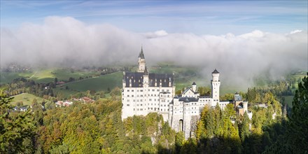Neuschwanstein Castle near Hohenschwangau, Romantic Road, Ostallgaeu, Bavaria, Germany, Europe