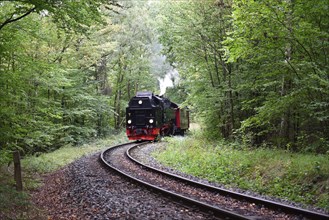 The Harz Narrow Gauge Railway, Brocken Railway, Selketal Railway in the Harz Mountains,