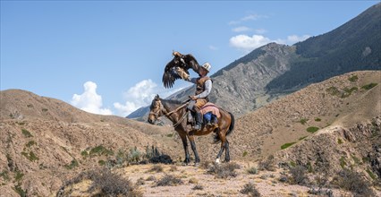 Traditional Kyrgyz eagle hunter riding with eagle in the mountains, eagle spreading its wings,
