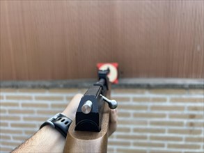 Point of view of a person aiming a carbine at a target