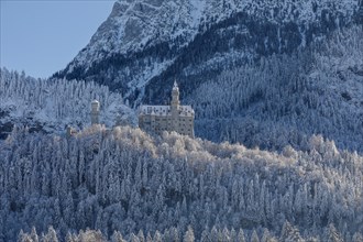 Neuschwanstein Castle, Schwangau near Fuessen, Allgaeu, Bavaria, Germany, Fuessen, Bavaria,