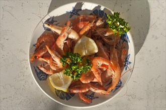 Prawns served on a plate, Vandee, France, Europe