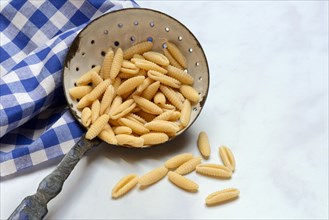 Malloreddus, Sardinian gnocchetti, traditional pasta variety from Sardinia, Italy, Europe