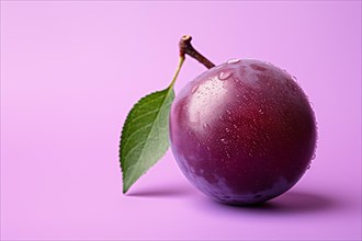 Single plum fruit on violet background. KI generiert, generiert, AI generated